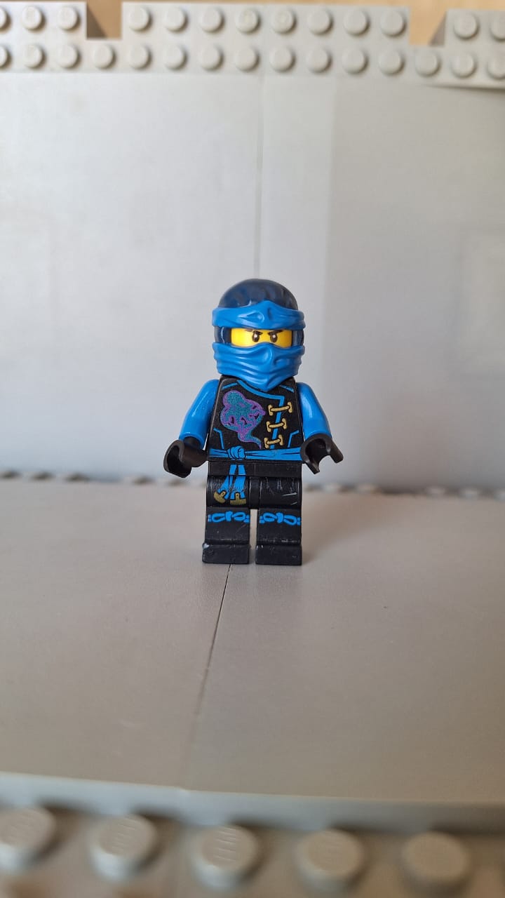 njo210 Skybound Jay