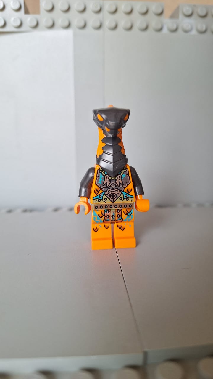 njo735 Boa Destructor