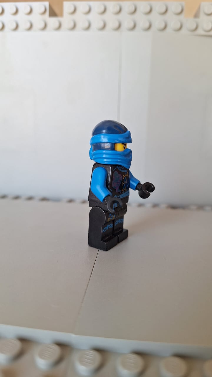 njo210 Skybound Jay