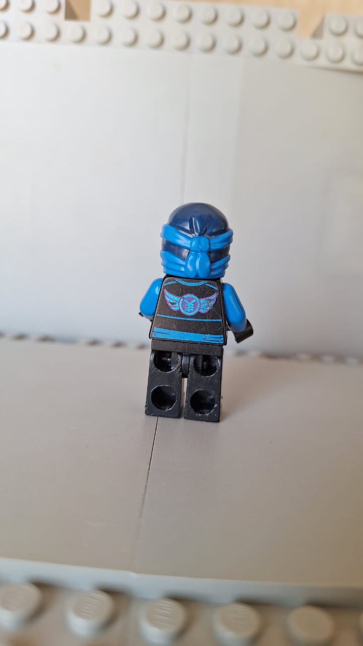 njo210 Skybound Jay