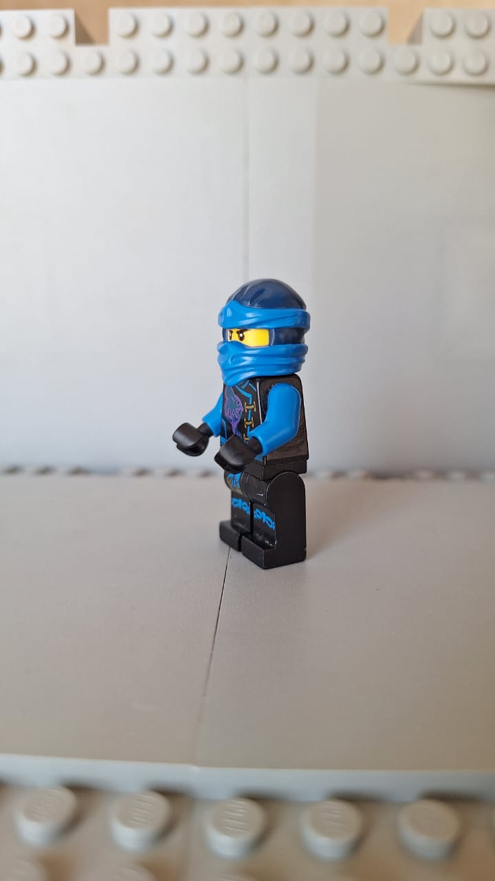njo210 Skybound Jay