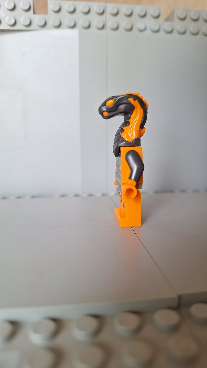 njo735 Boa Destructor