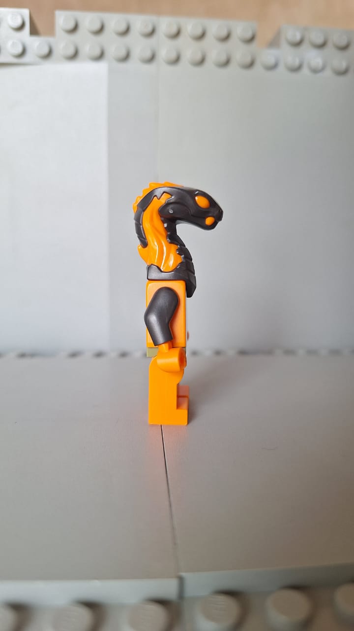 njo735 Boa Destructor