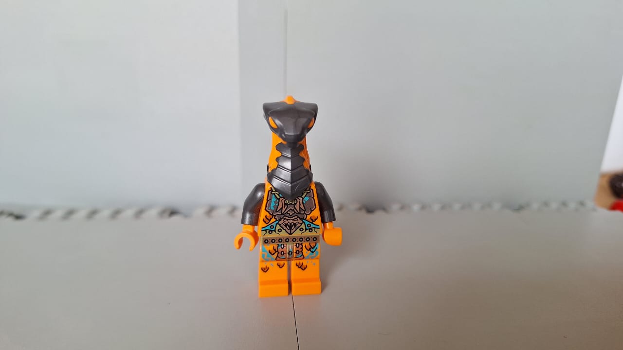 njo735 Boa Destructor